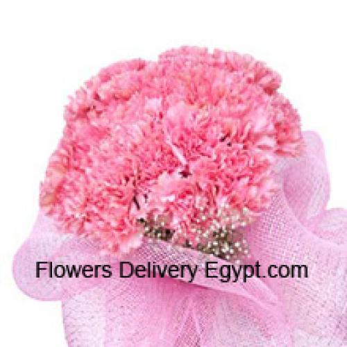 Cute 24 Pink Carnations