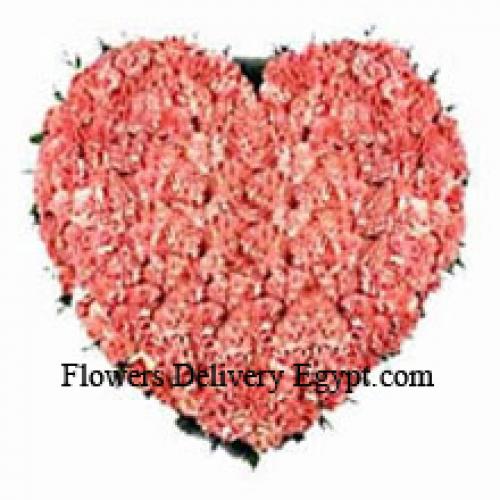 100 Pink Heart Carnations