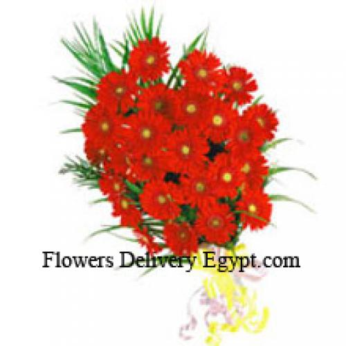 24 Exotic Red Gerberas