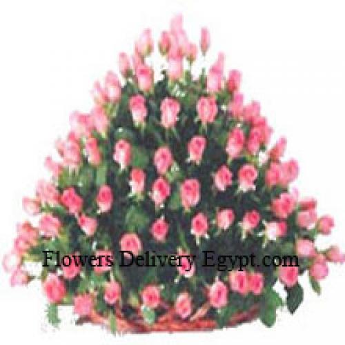 150 Exotic Pink Roses