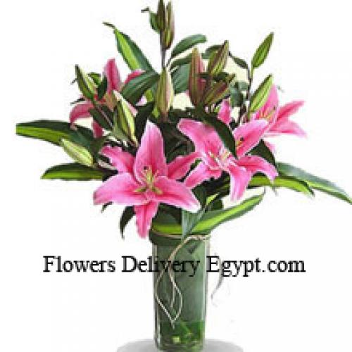 Cute Pink Lilies