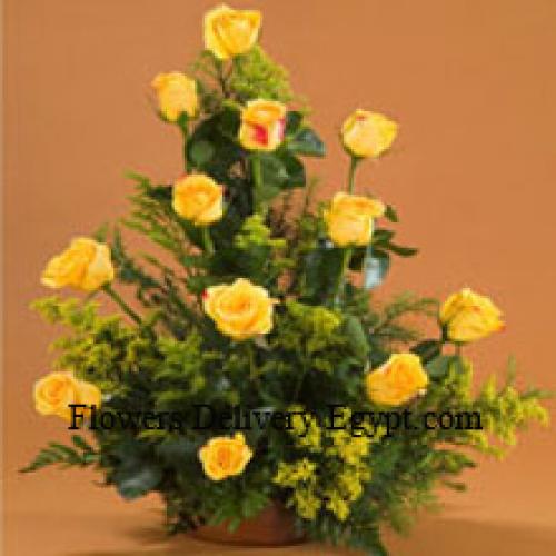 12 Charming Yellow Roses