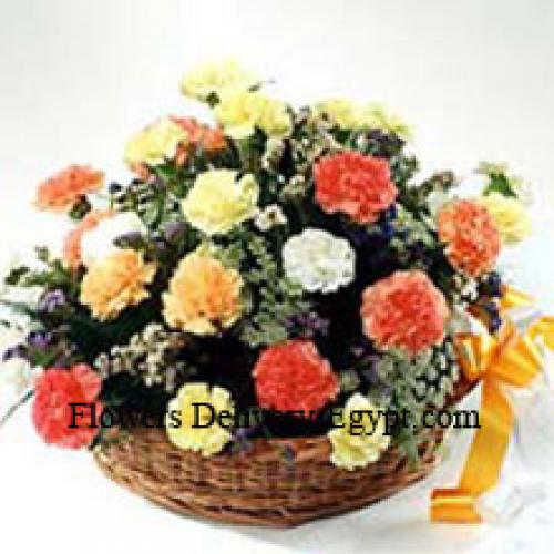 Elegant 24 Mixed Carnations