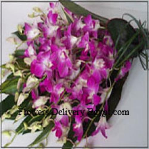 Cute Orchids Bunch