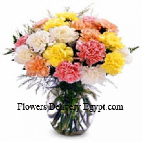 12 Elegant Mixed Carnations