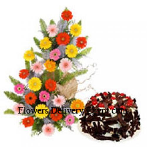 25 Gerberas with Crispy 1 Kg Chocolate Cake