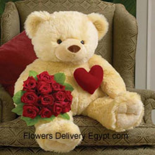 12 Rode Rozen met Knuffel 32 Inch Teddy