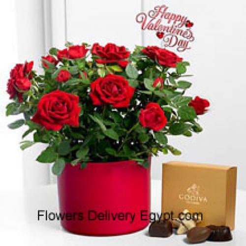 24 Rose Rosse con deliziosi cioccolatini Godiva